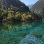 自古已有「翠海」之称的九寨沟，以翠绿、澄蓝的清澈水色而闻名。