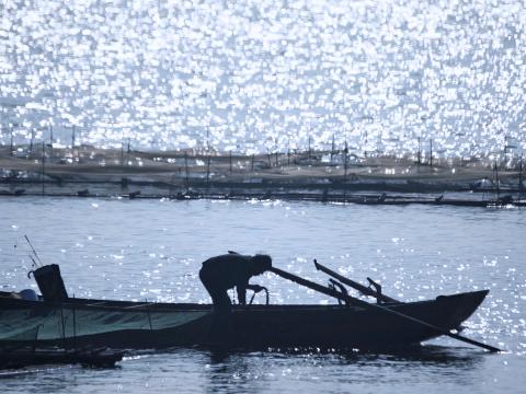 鄱阳湖自古是鱼米之乡，近年却因滥捕，一度令湖中鱼类几近灭绝。
