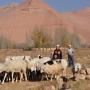 撒拉族人仍然以耕作和畜牧為主，部份人家更會請青年或孩子來放羊。