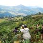 胡老師(中)常常帶同學生和攝影愛好者在山林間拍攝梯田美景。