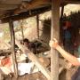 村民正以大木樁製作傳統食品「苦蕎粑粑」。