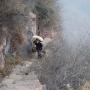 从前，郭亮村的物资全靠村民经天梯肩挑手抱到断崖上的村内。