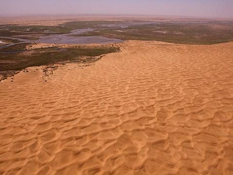塔克拉玛干沙漠的风沙流动性极大，令沙堆和沙丘呈现各式姿态。