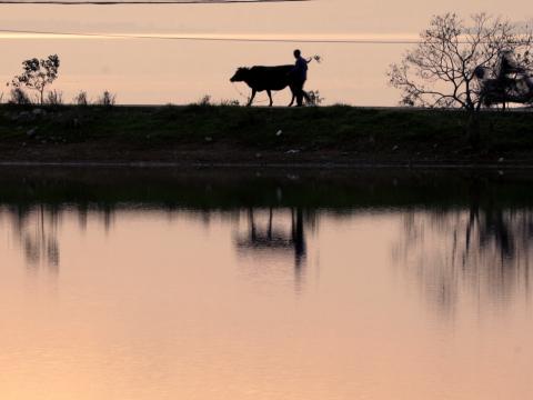 鄱阳湖这片鱼米之乡的自然和人文风景，正逐渐改变。