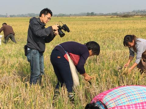 在田間拍攝，訪問農民對候鳥的觀感。