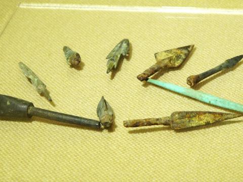  在蒲圻發掘出不少三國時期的兵器。