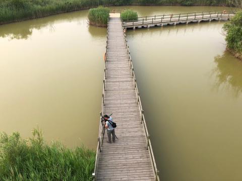 黄河口生态旅游区展示了湿地生态。