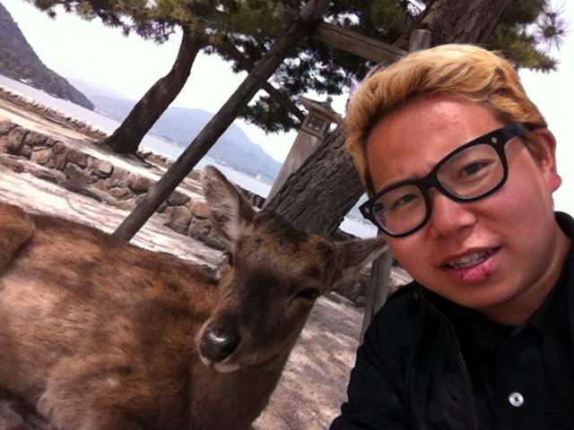 廣島宮島的小鹿，聽聞比在奈良的小鹿較溫馴，那邊的會攻擊人搶食物，只是聽聞的....