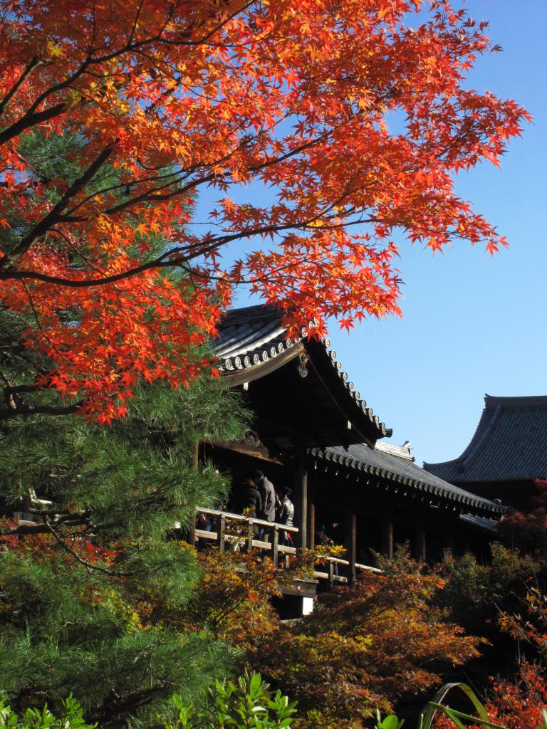 1. 东福寺是京都赏红叶的其中一个好去处。