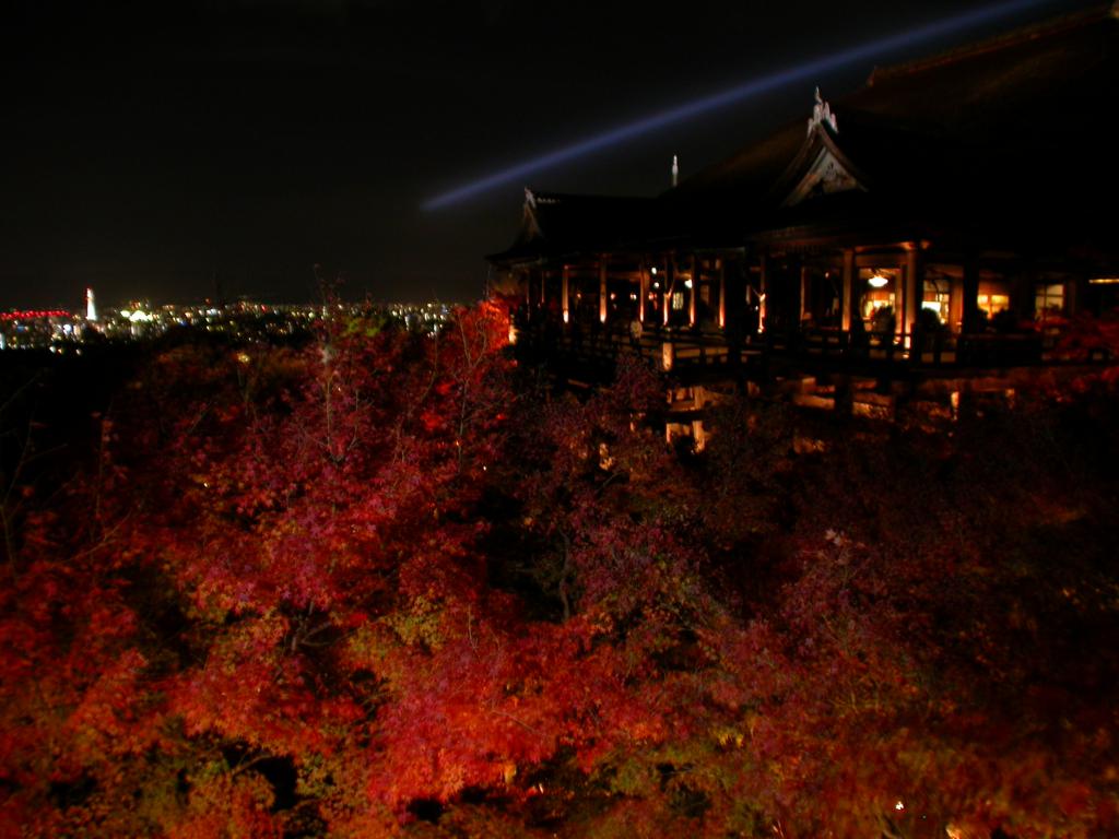 在红叶季节，京都名刹清水寺会在晚上开放供人夜赏红叶。