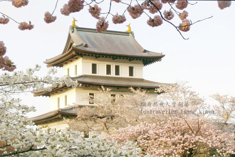 北海道松前里的250种8,000株樱花树，围绕古城绽放。