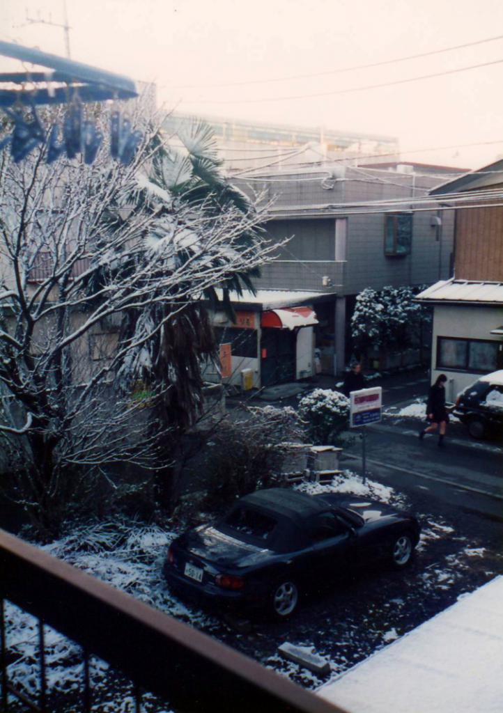 喜欢下雪，所以每逢下雪便会把家中的窗户打开，一个人感受一下东京冬天的浪漫。